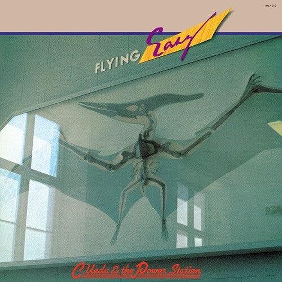 Chikara Ueda Power Station- Flying Easy (Vinyl)