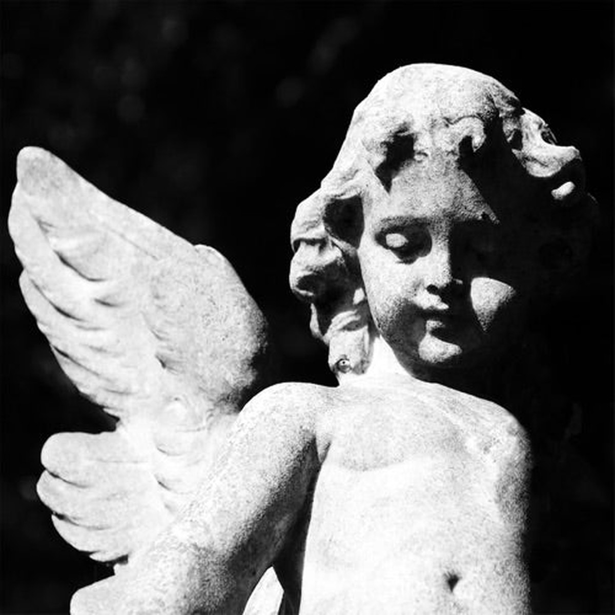 Cold Cave- Passion Depression (Vinyl)