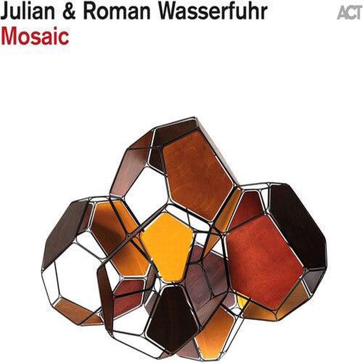 Julian Wasserfuhr Roman- Mosaic (Vinyl)