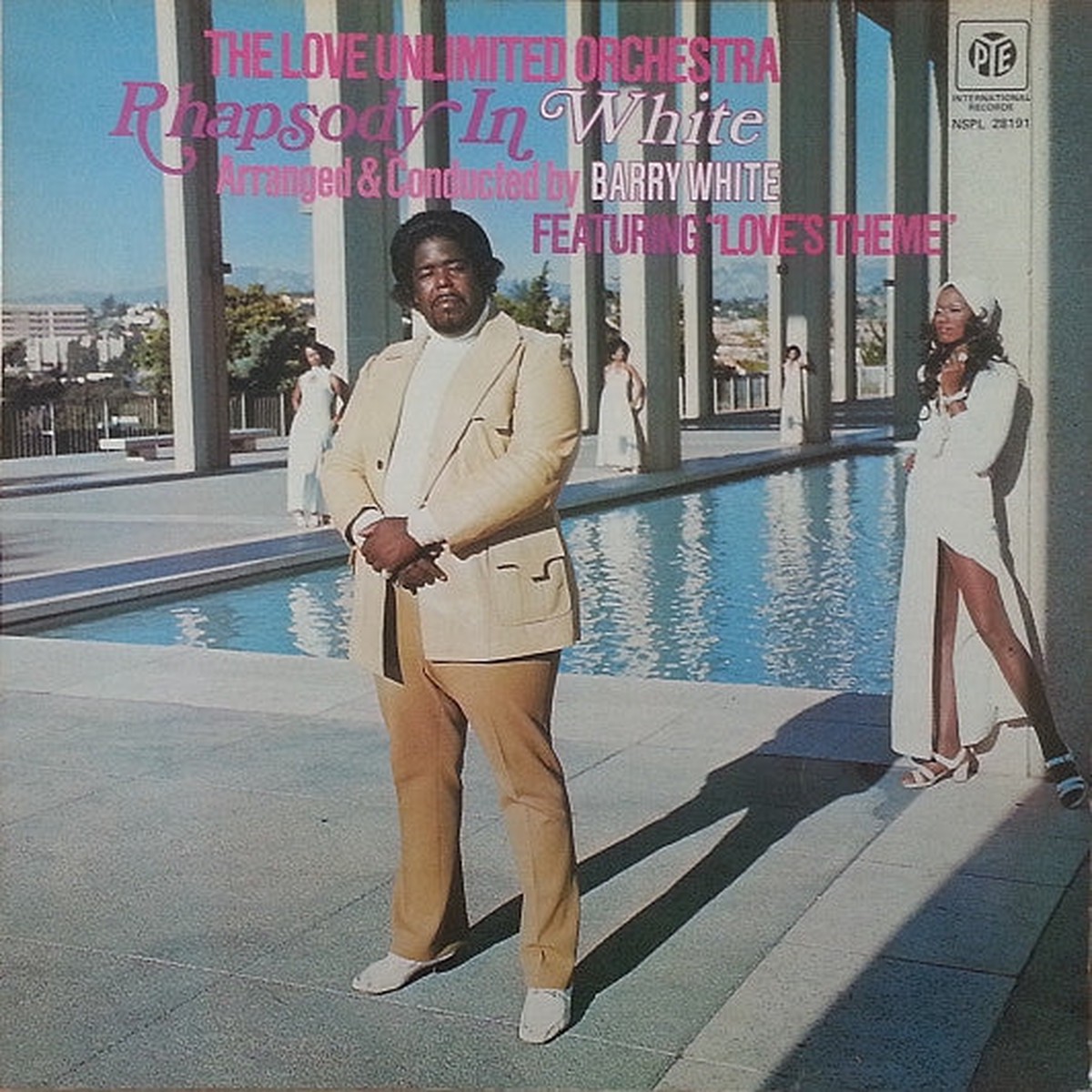 Love Unlimited Orchestra - Rhapsody In White (LP) (Very Good Plus (VG))