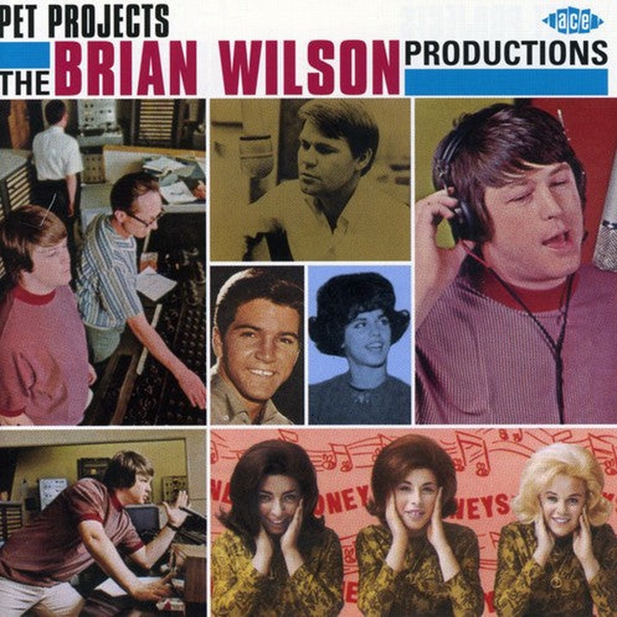 Pet Projects-Brian Wilson Productions- Pet Projects-Brian Wilson Productions Import (CD)