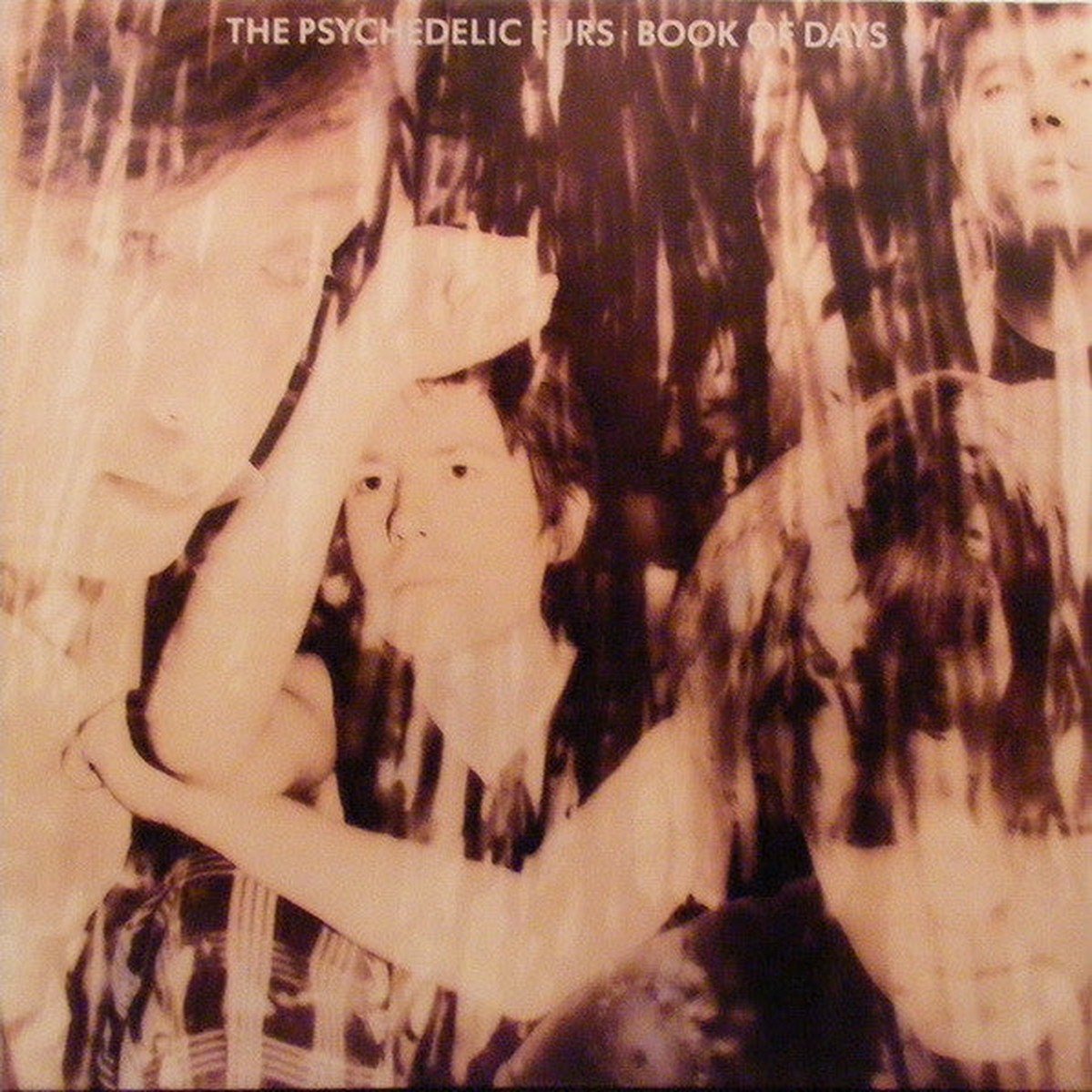 The Psychedelic Furs - Book Of Days (LP) (Very Good Plus (VG))