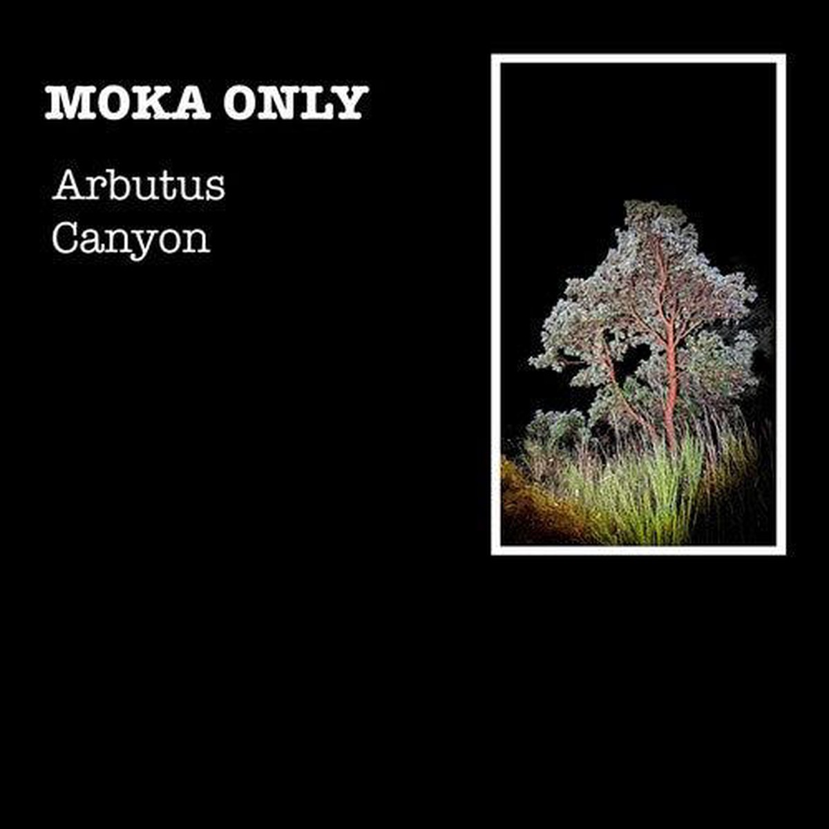 Moka Only- Arbutus Canyon (CD)