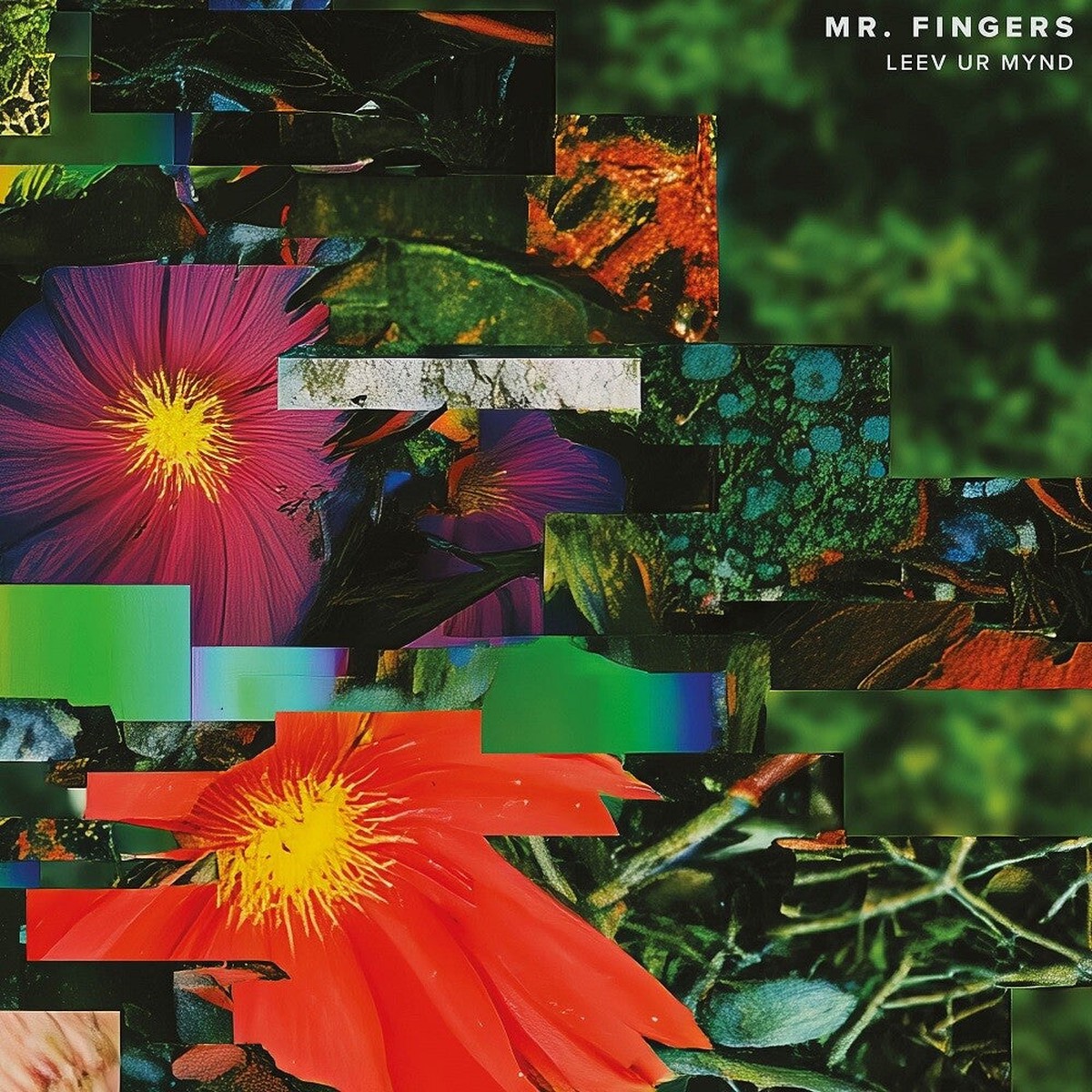 Mr Fingers- Leev Ur Mynd (Vinyl)