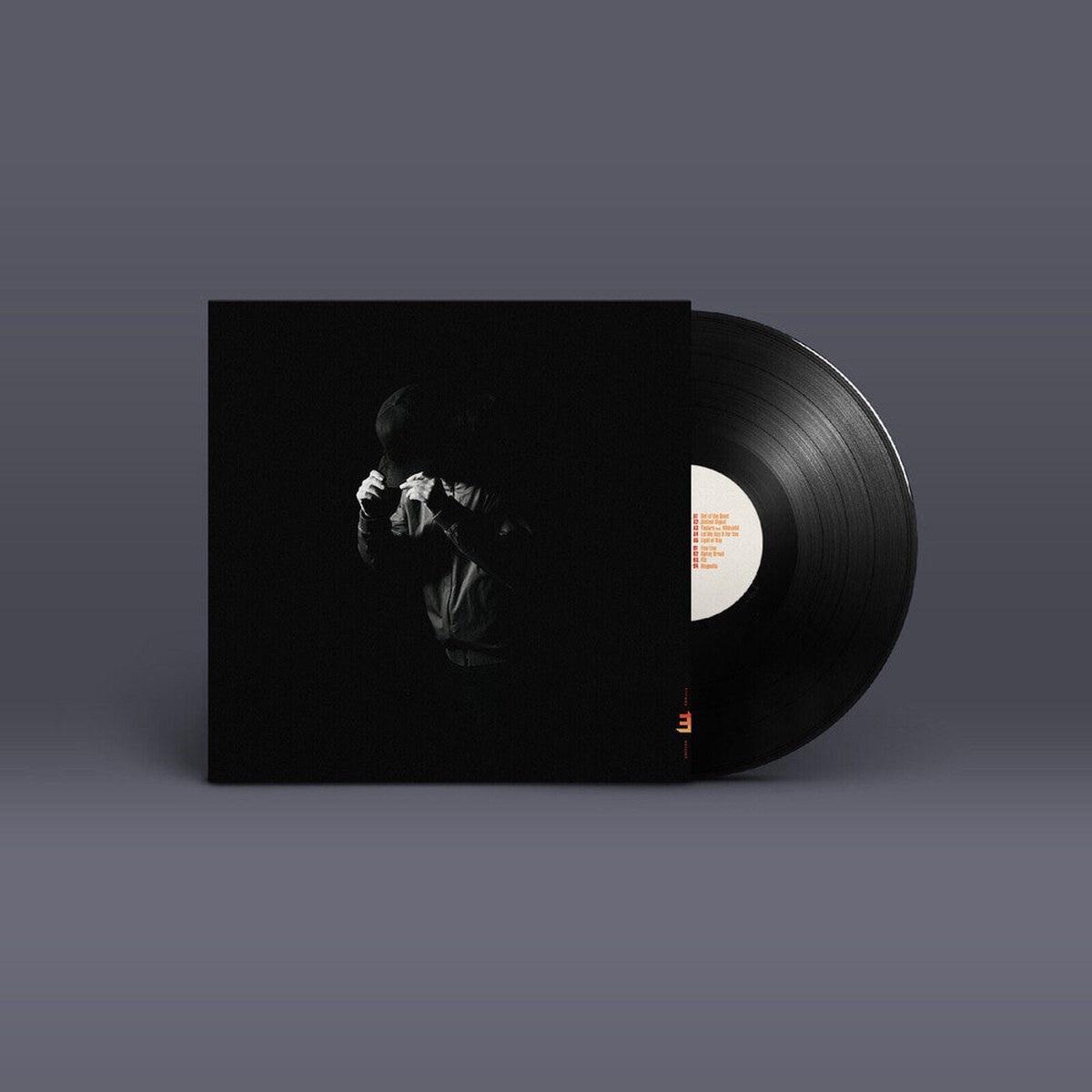 Richard Spaven- Light Of Day (Vinyl)