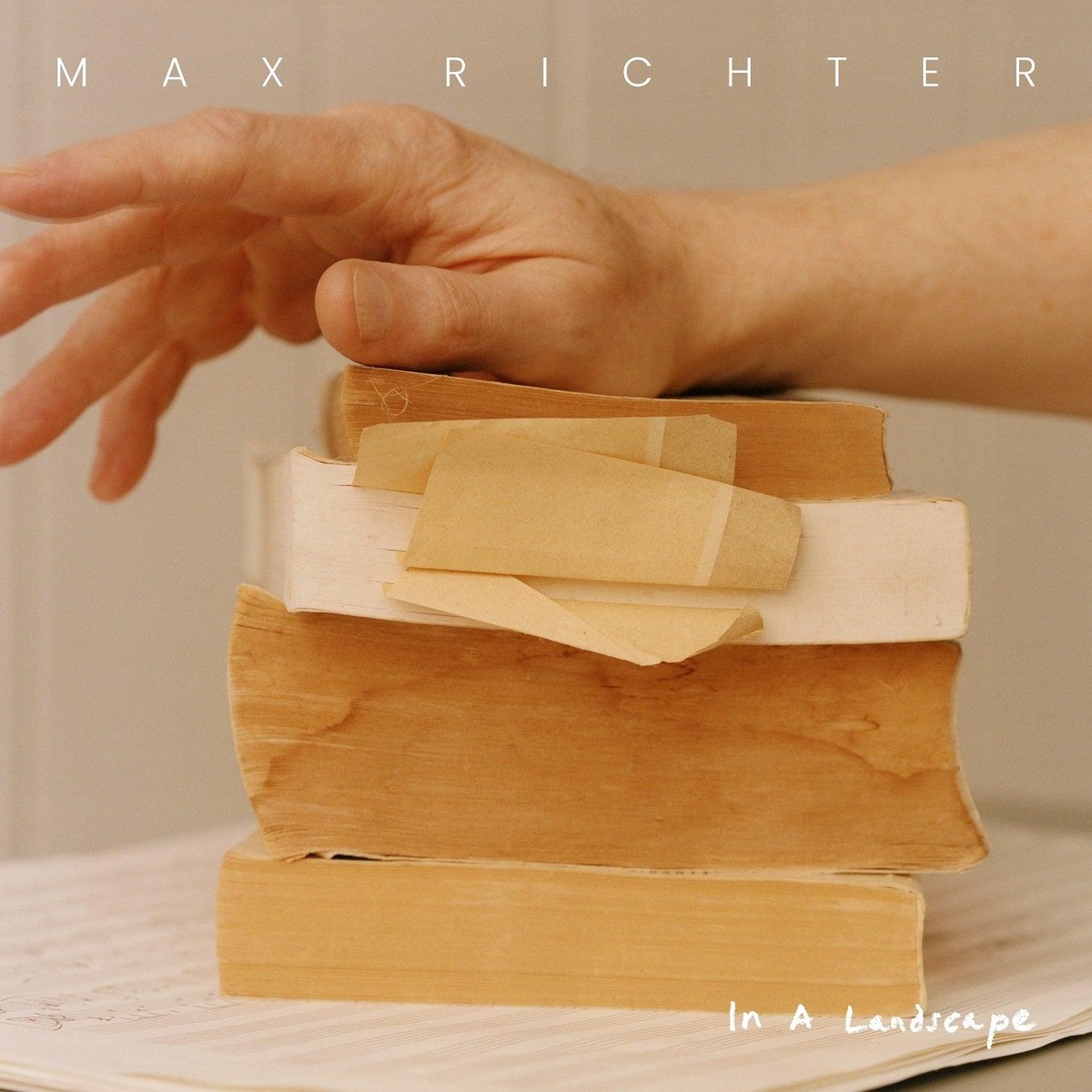 Max Richter- In a Landscape (Indie Exclusive Vinyl)