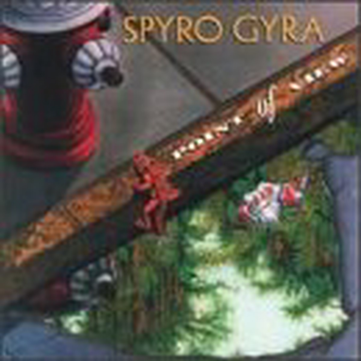 Spyro Gyra- Point Of View (Used CD)