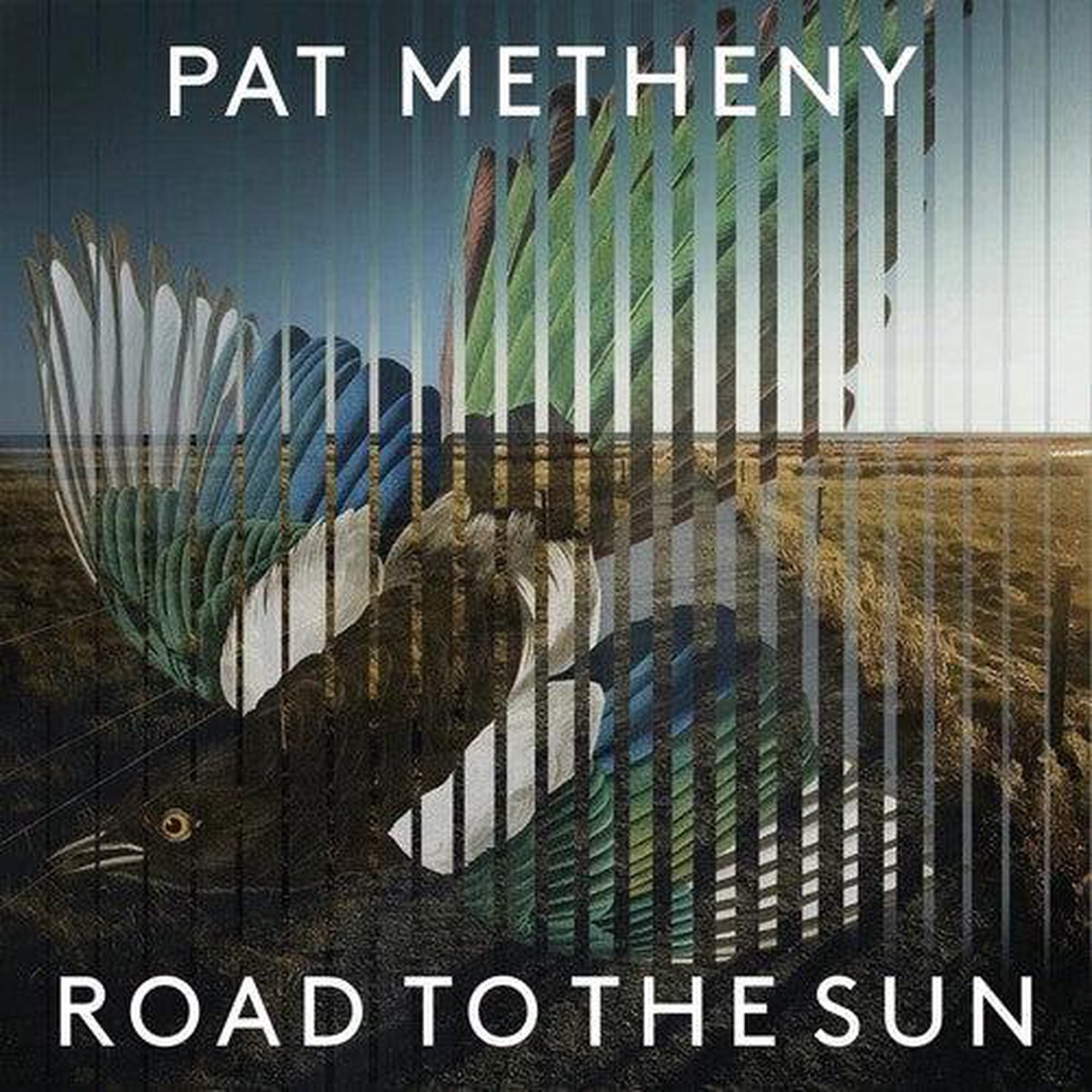 Pat Metheny- Road To The Sun (Vinyl)