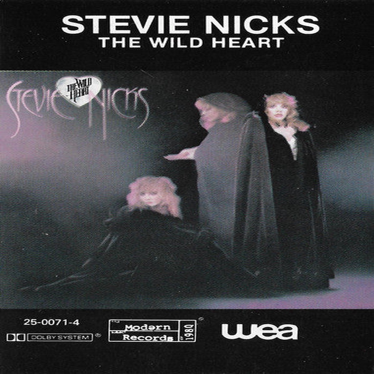 Stevie Nicks - The Wild Heart (Cassette) (Very Good Plus (VG))