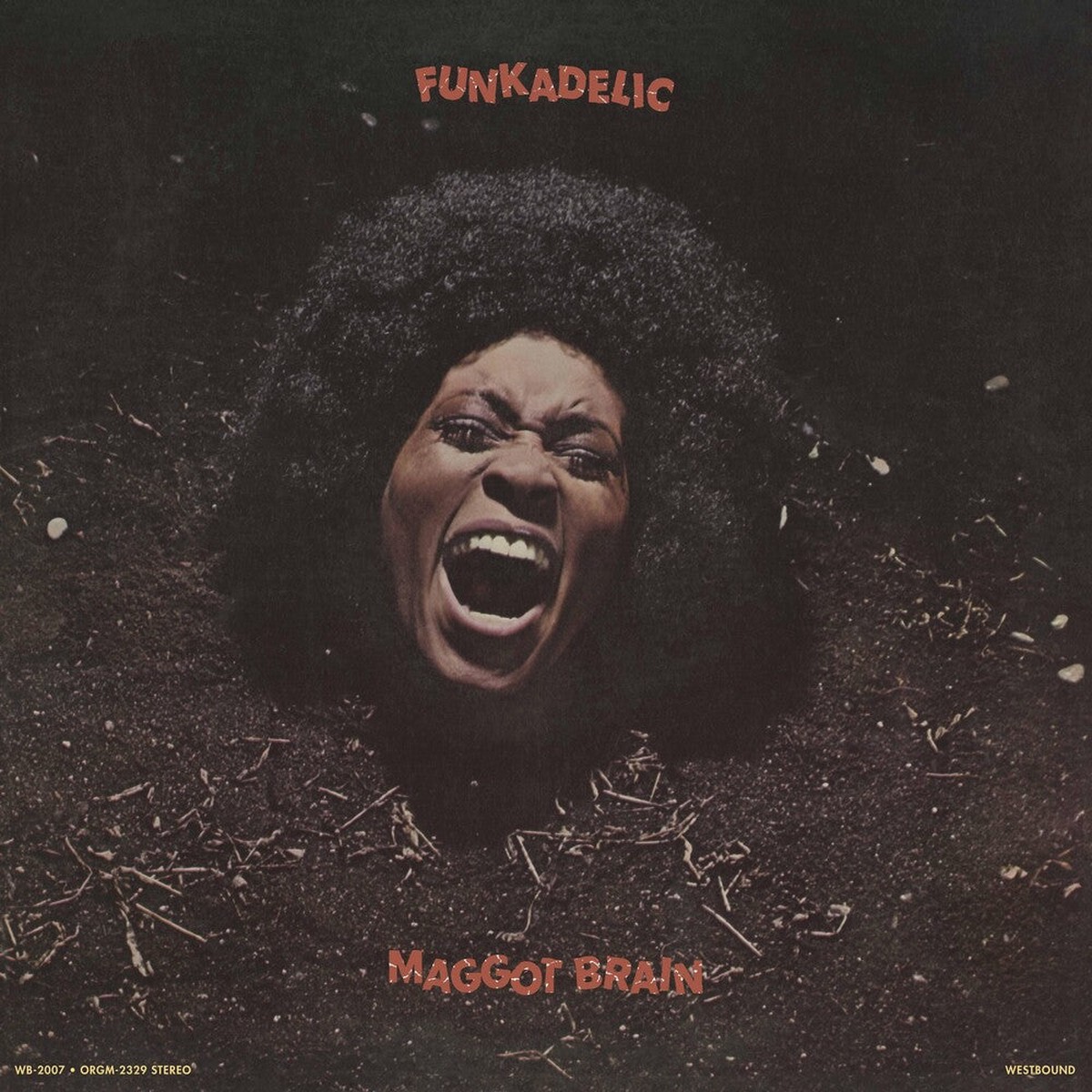 Funkadelic- Maggot Brain - 2026 Reissue Gold Cassette