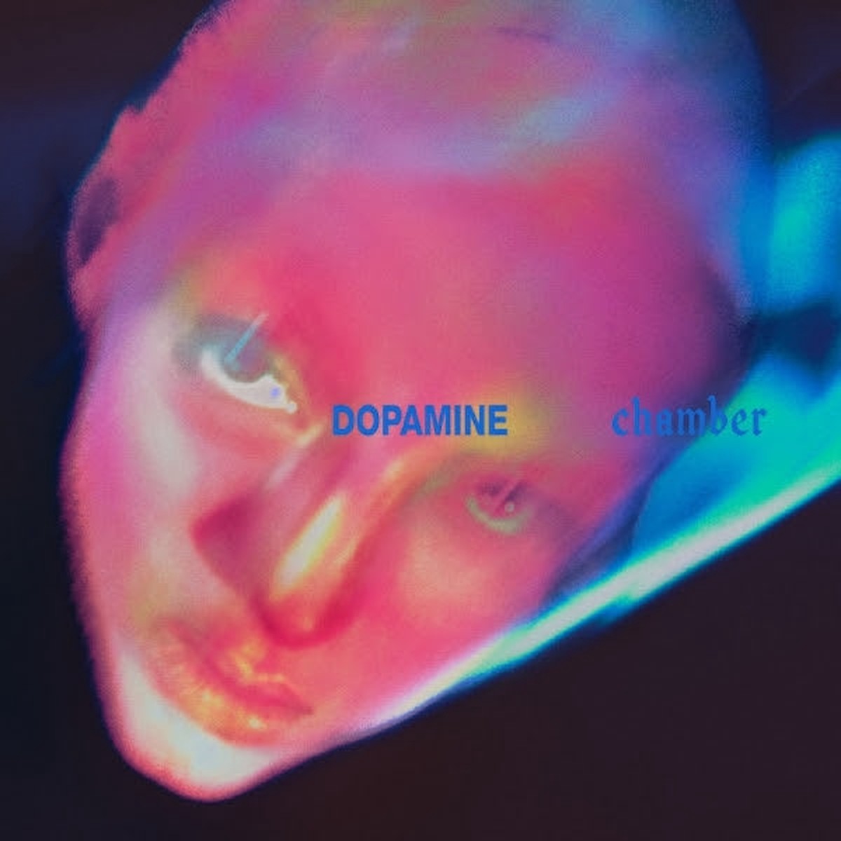 Fontaines DC- Dopamine Chamber (Cassette)