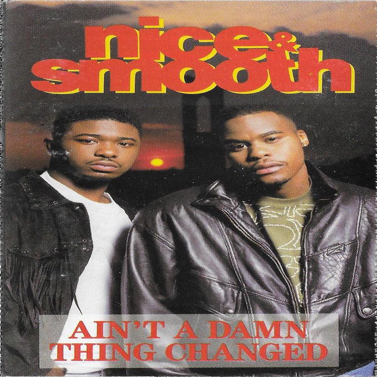 Nice Smooth- Aint A Damn Thing Changed (Used Cassette)