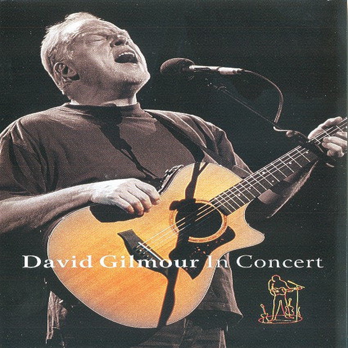 David Gilmour - In Concert (DVD) (Near Mint (NM or M-))