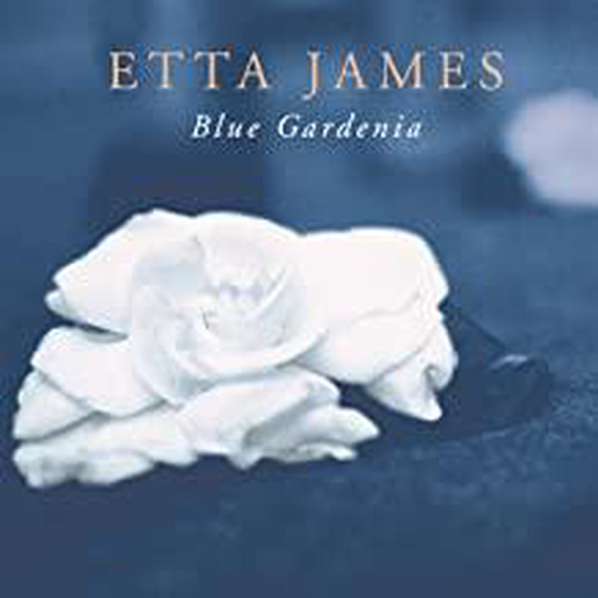 Etta James- Blue Gardenia (Used CD)